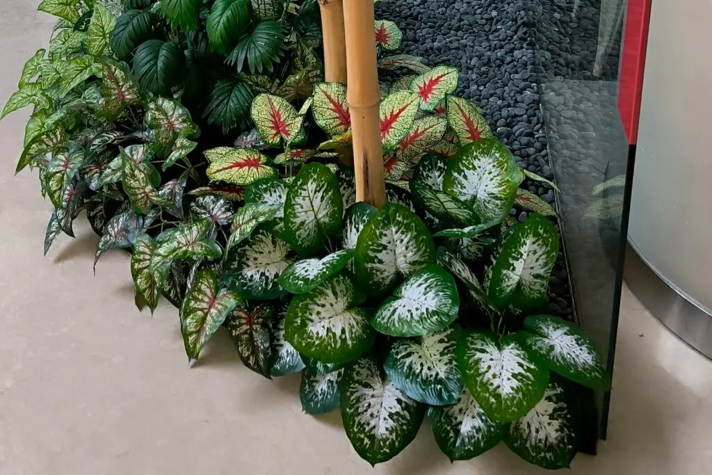 Cara Membedakan Tanaman Artifisial Berkualitas Tinggi dengan yang Berkualitas Rendah oleh Mantika Florista