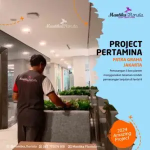 Mantika Florista - Spesialis Tanaman Artifisial