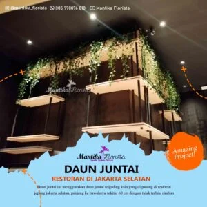 Mantika Florista - Spesialis Tanaman Artifisial