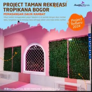 Mantika Florista - Spesialis Tanaman Artifisial