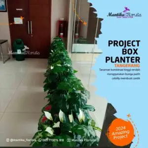 Mantika Florista - Spesialis Tanaman Artifisial - Box Planter