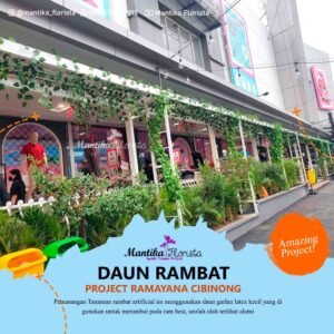 Mantika Florista - Spesialis Tanaman Artifisial - Daun Rambat