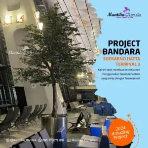 Mantika Florista - Spesialis Tanaman Artifisial