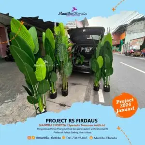 Mantika Florista - Spesialis Tanaman Artifisial - Rumah Sakit Firdaus