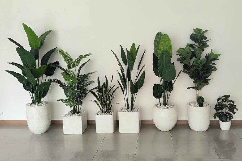 Mitos dan Fakta tentang Tanaman Palsu: Apakah Layak untuk Dibeli?