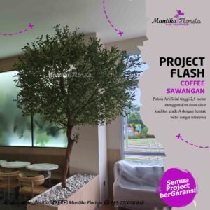 Pohon Olive Artificial yang sudah kami pasang di Outlet Flash Coffee